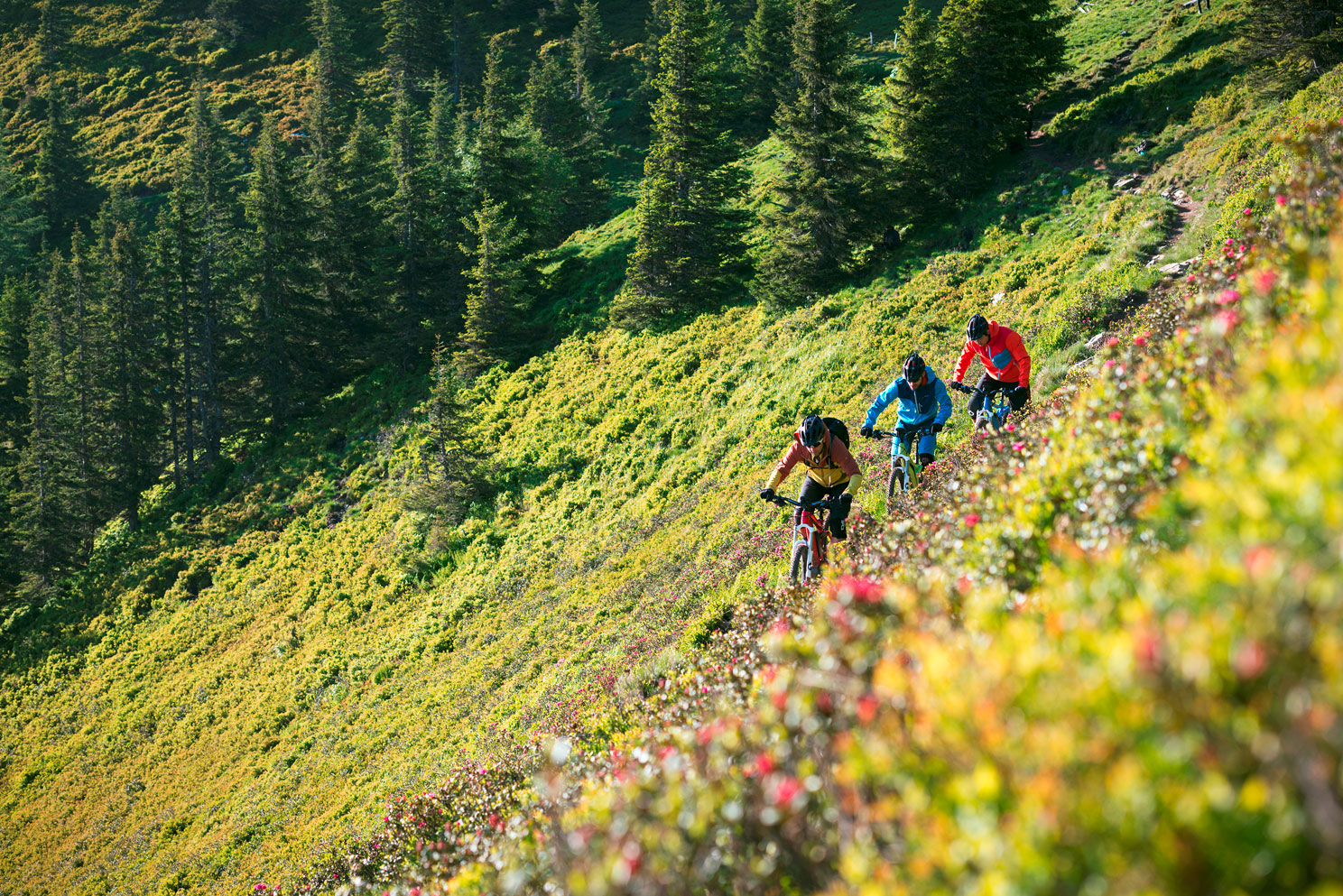 Ebike Leogang ©bosch