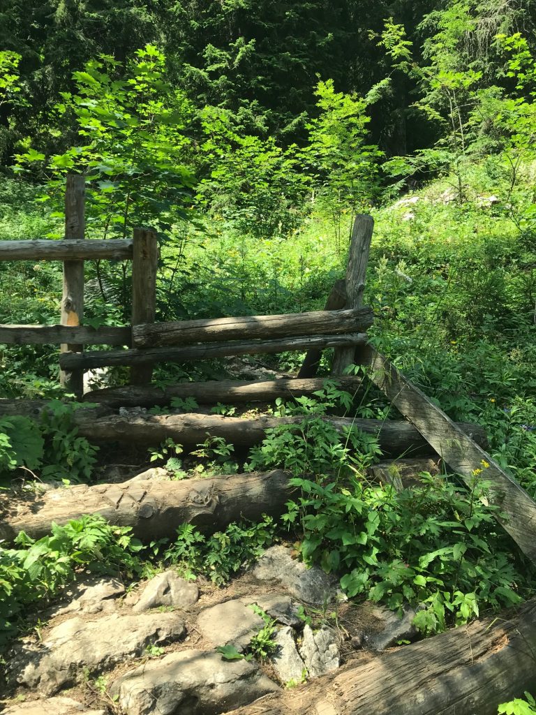 Wanderweg Dümlerhütte