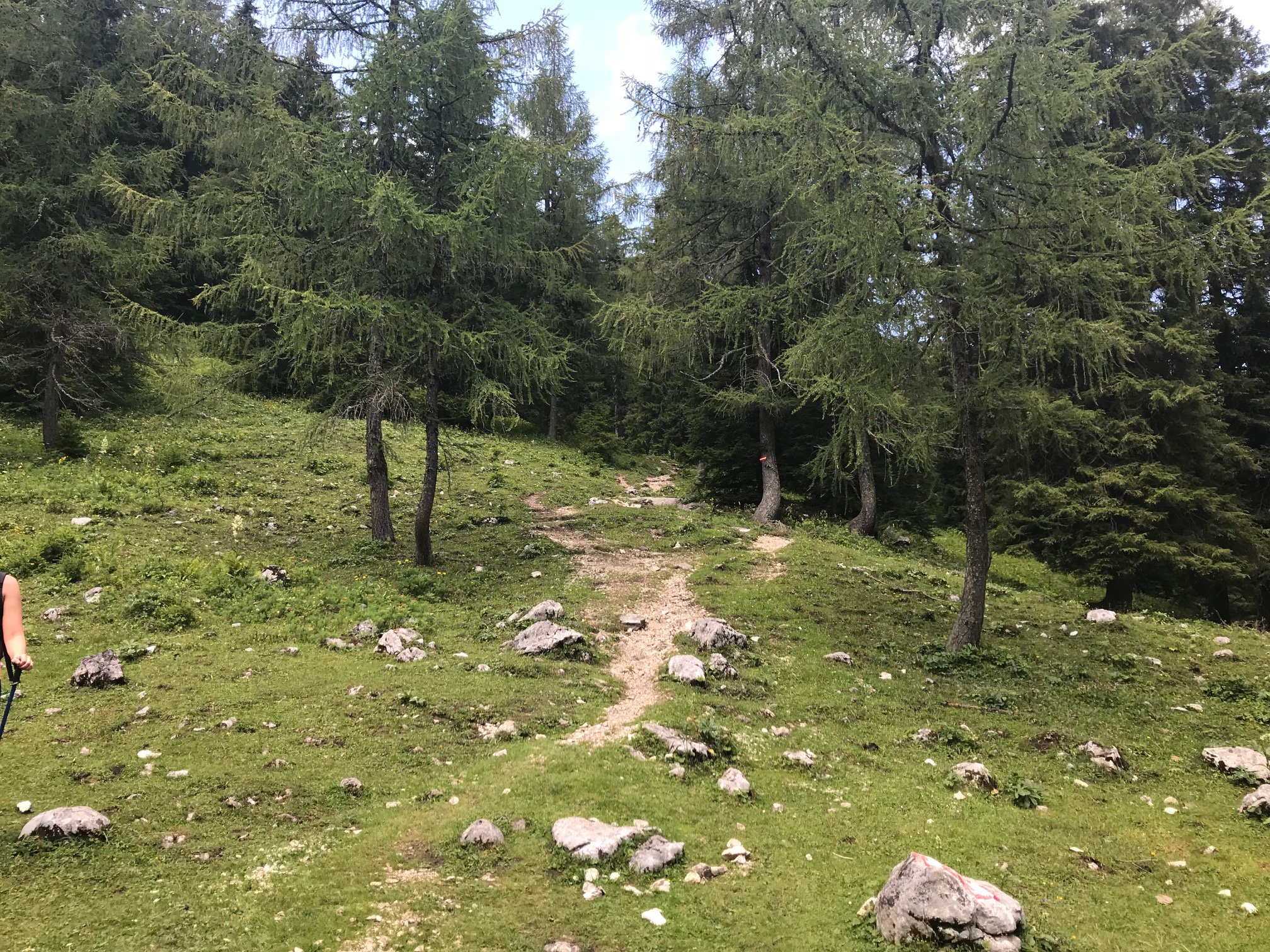 Wanderweg Dümlerhütte