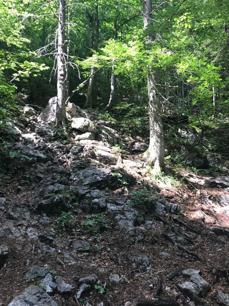 Wanderweg Dümlerhütte