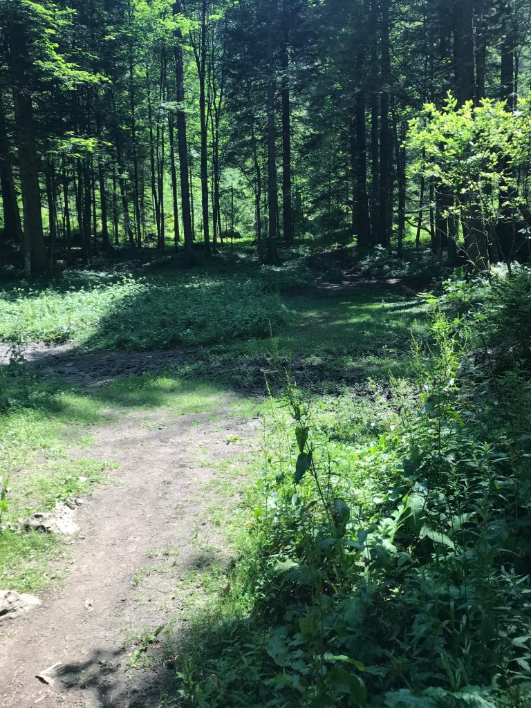 Wanderweg Dümlerhütte