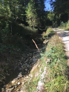 Vorderer Signalkogel