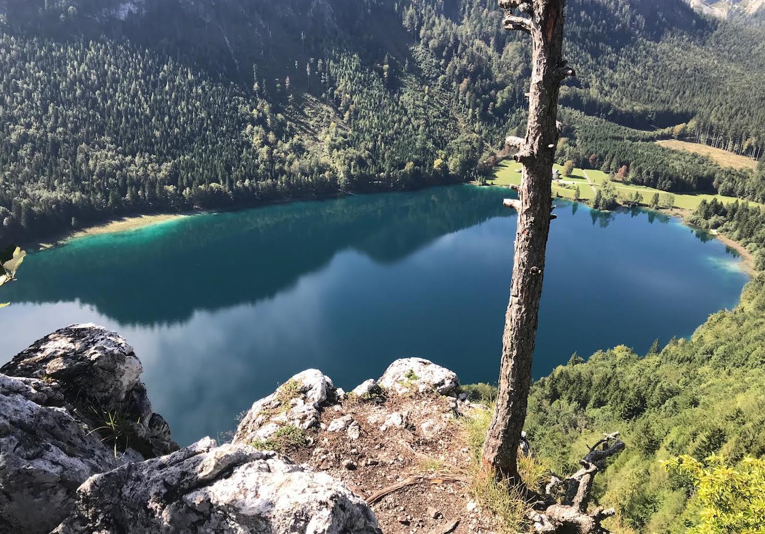 Vorderer Signalkogel (906m)